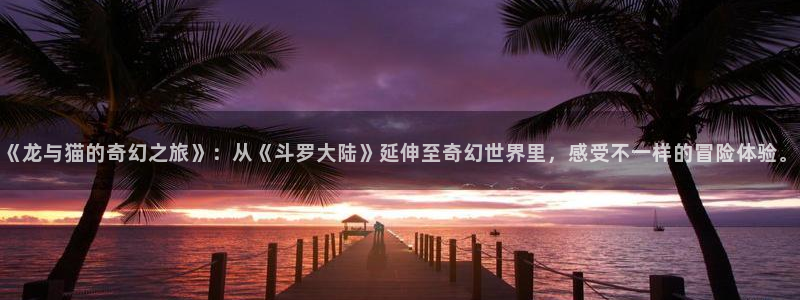 58动漫网站好看的动漫