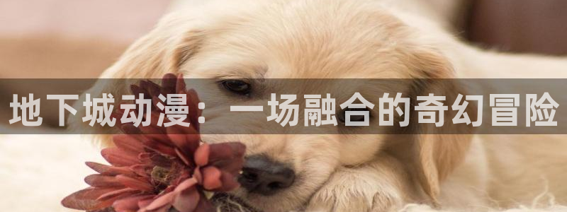 58动漫在线观看