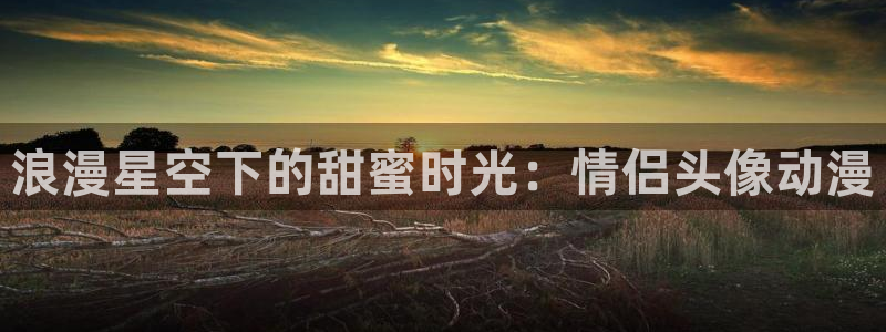 58动漫大全：浪漫星空下的甜蜜时光：情侣头像动漫